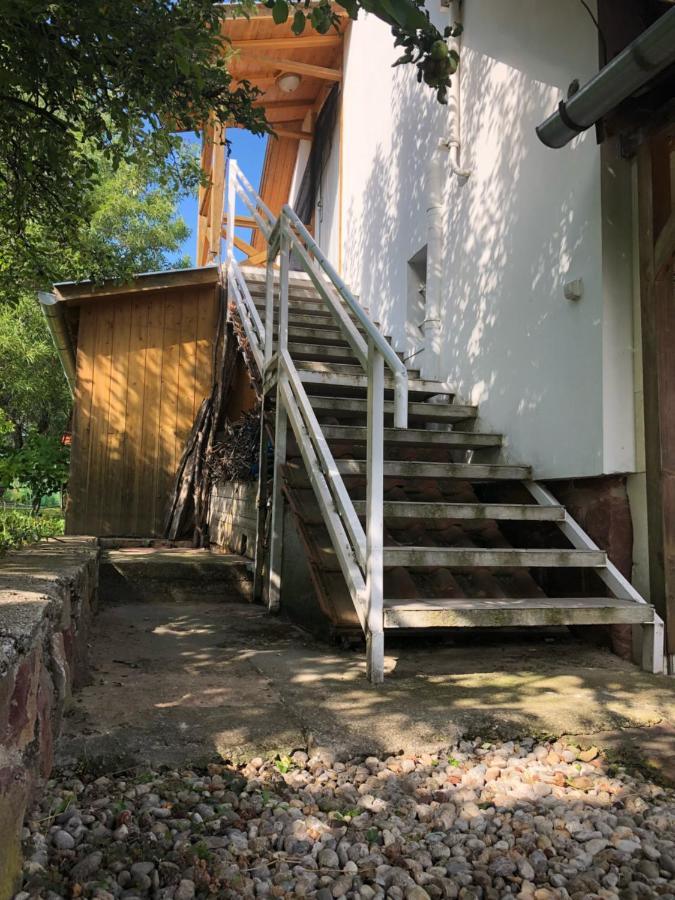 Szoloskert Apartment